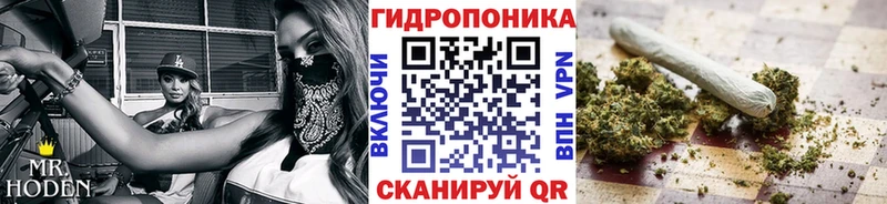 Марихуана Bruce Banner  Дно 